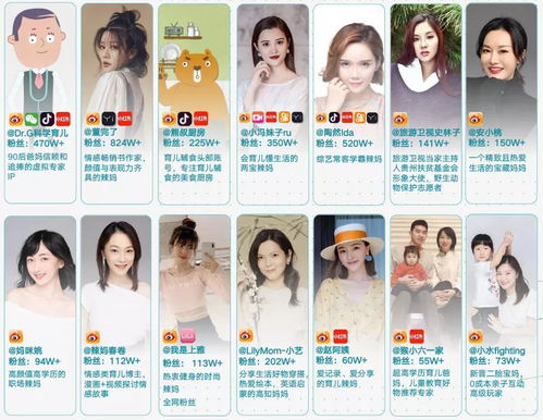 從頭部MCN到綜合型內容傳媒 文心會員與青藤文化的數字化轉型與內容制作服務探索